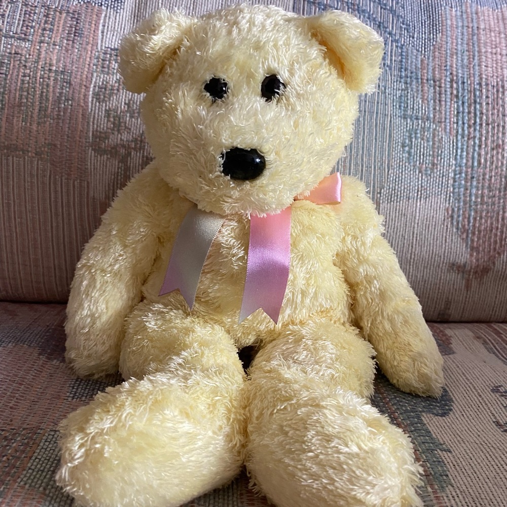 Cute and cuddly plush bear